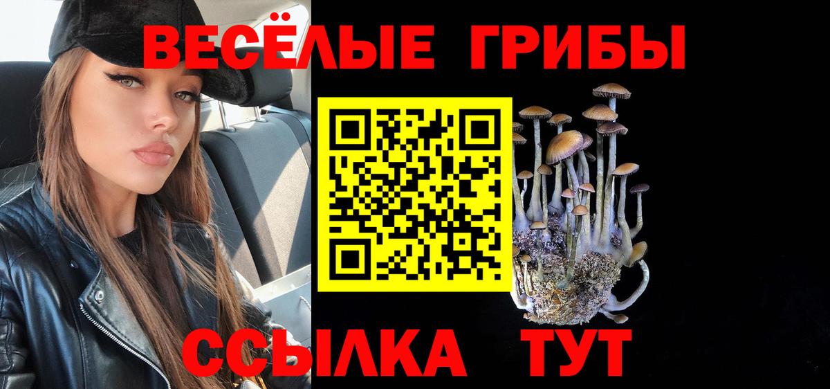 Тайшет  Псилоцибиновые грибы прущие грибы  Вход с VPN  Псилоцибиновые грибы GOLDEN TEACHER 