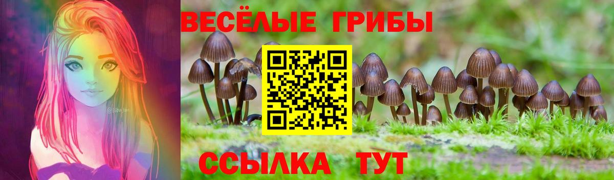 Галлюциногенные грибы GOLDEN TEACHER Тайшет